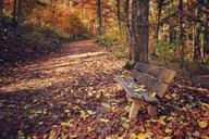 park-park-bench-leaves-leaf-autumn-1263179.jpg