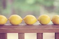 lemons-yellow-row-fruit-summer-1432439.jpg