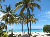 palm-trees-beach-sand-sea-varadero-620732.jpg