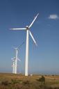 wind-power-wind-electricity-744487.jpg