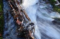 driftwood-ice-river-1146306.jpg