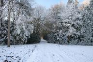 winter-landscape-christmas-picture-1063893.jpg