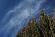 sky-clouds-landscape-field-cypress-613164.jpg