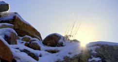 snow-sun-rocks-winter-sunny-day-1249155.jpg