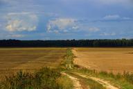 road-summer-russia-landscape-photo-656148.jpg