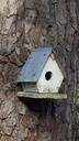 birdhouse-bird-nature-house-tree-988791.jpg