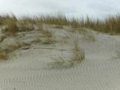 dunes-sand-beach-526257.jpg