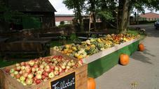 fruit-stand-apple-street-vending-244592.jpg