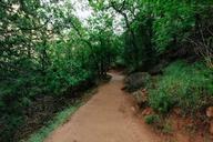 hiking-trekking-trail-path-dirt-924758.jpg