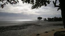 beach-sandy-silhouettes-dark-trees-108276.jpg