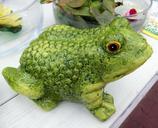 frog-fairy-tales-frog-prince-437239.jpg