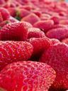 strawberry-fruit-red-fruits-292161.jpg