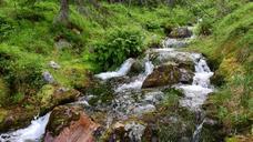 stream-torrent-creek-mountain-1008552.jpg