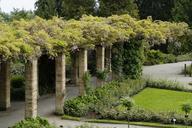 bower-portico-wisteria-garden-785361.jpg