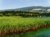 france-marsh-water-lake-316361.jpg