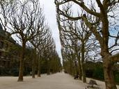 paris-france-sidewalk-trees-winter-90938.jpg