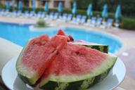 watermelon-pool-food-exotic-fruit-772343.jpg