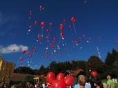 balloons-fly-wedding-693778.jpg