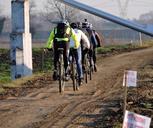 cyclist-bicycle-sports-race-row-620149.jpg