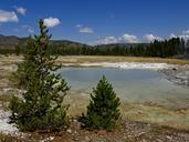 yellowstone-national-park-wyoming-215192.jpg