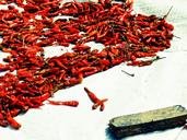 pepper-red-pepper-thailand-bangkok-175721.jpg