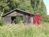 barn-autumn-ivy-landscape-idyll-596900.jpg