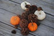 pumpkin-pine-cone-fall-autumn-505302.jpg