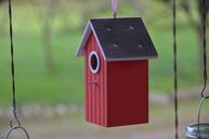 birdhouse-house-birds-cottage-1060939.jpg