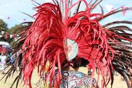 feathers-tuft-red-plumage-indian-1571662.jpg