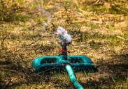 lawn-sprinkler-impact-sprinkler-1352719.jpg