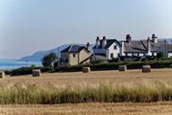 farmland-hay-agriculture-farm-970912.jpg