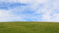 horizon-meadow-sky-nature-blue-754119.jpg