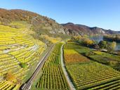 upper-rhine-valley-vineyards-river-1030909.jpg