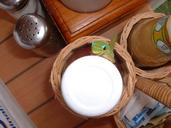 gecko-breakfast-lizard-creature-14942.jpg