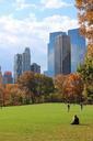 central-park-new-york-manhattan-465487.jpg