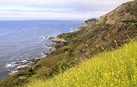 california-coast-big-sur-pacific-595656.jpg