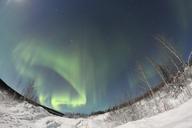 aurora-borealis-northern-lights-1245022.jpg