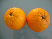 orange-food-nutrition-408116.jpg