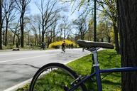 bike-central-park-ride-holidays-667994.jpg