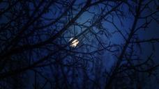 blue-night-moon-winter-moonlight-1252017.jpg