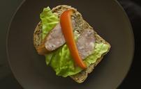 sandwich-sausage-salad-pepper-932952.jpg