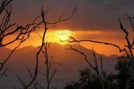 glowing-red-sunset-branches-795995.jpg