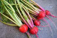 beets-harvest-organic-food-season-1596534.jpg