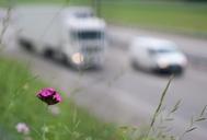 traffic-highway-nature-roadside-113843.jpg