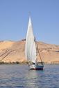 felucca-boat-nile-egypt-navigation-1197974.jpg