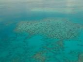 great-barrier-reef-diving-coral-261707.jpg