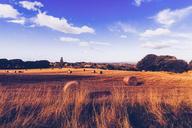 farmland-hay-bales-hay-field-349904.jpg