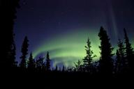 aurora-borealis-northern-lights-sky-1554901.jpg