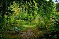 bench-park-green-seat-tree-411713.jpg