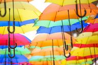 colorful-umbrellas-colour-rain-1492095.jpg